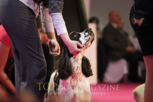 show news from Finland & Slovakia