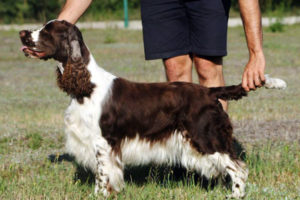 New pictures of “Diana” & “Borys”