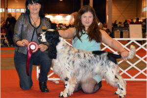 “Rocky” is the new International Show Champion C.I.E.