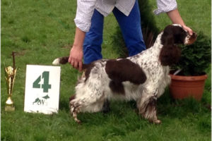 A great weekend in Poland and Estonia