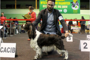 CACIB Vilnius & CACIB Drzonków