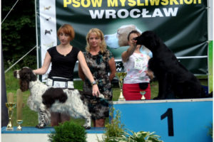 wystawy we Wrocławiu i Ustroniu