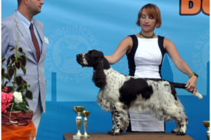 Wystawa w Legnickim Polu