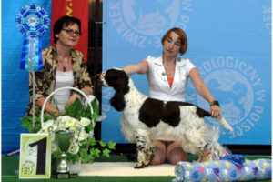 Majowe Świebodzice i Ustka