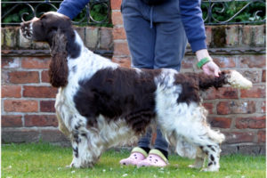 Anglia – czerwiec 2014