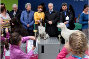 Tamaamkowe: Słowacja, Macedonia i Polska