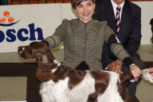 Szczęśliwe Katowice :-)