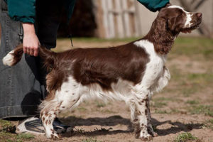 Smoki w młodzieży!