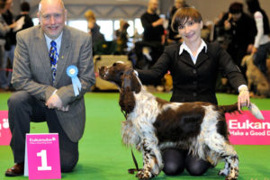 Tamaam „girls-power” in Brno