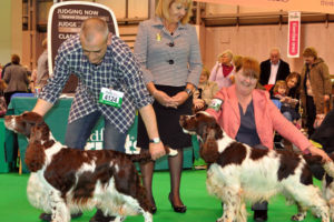 Crufts 2011