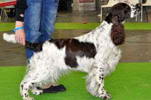 Wystawa Światowa w Paryżu