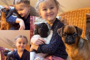 Szczenięta w wieku 5 tygodni