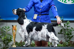 Opening of the show season’ 24