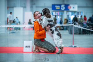 Wystawowy „update”