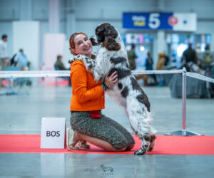 Wystawowy „update”