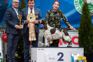 ELDERBERRY WINE Tamaam