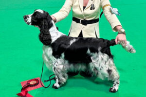 AIN’T NO SAINT Tamaam