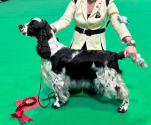 AIN’T NO SAINT Tamaam