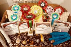 Ranking za rok 2024 ZKwP Oddział w Wałbrzychu