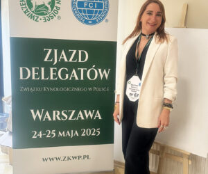 Zjazd Delegatów ZKwP