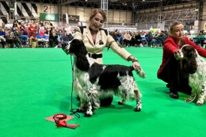 CRUFTS’ 2025