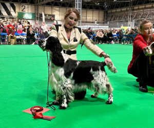 CRUFTS’ 2025