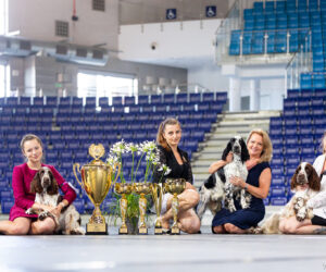 Wspaniały weekend w Szczecinie