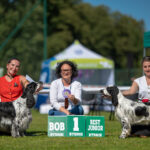 Wystawa Psów Myśliwskich’ Rybnik