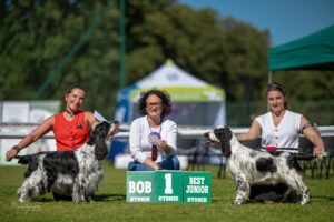 Wystawa Psów Myśliwskich’ Rybnik