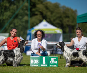 Wystawa Psów Myśliwskich’ Rybnik